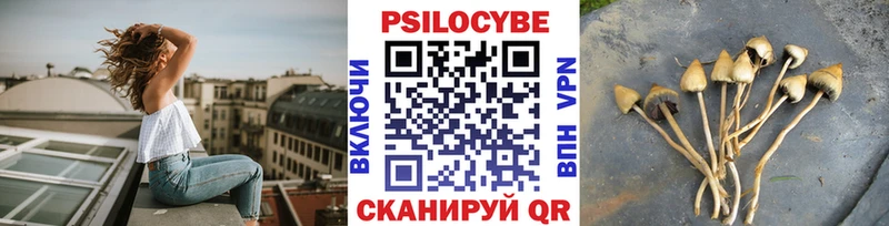Галлюциногенные грибы мухоморы  OMG вход  Кемь 